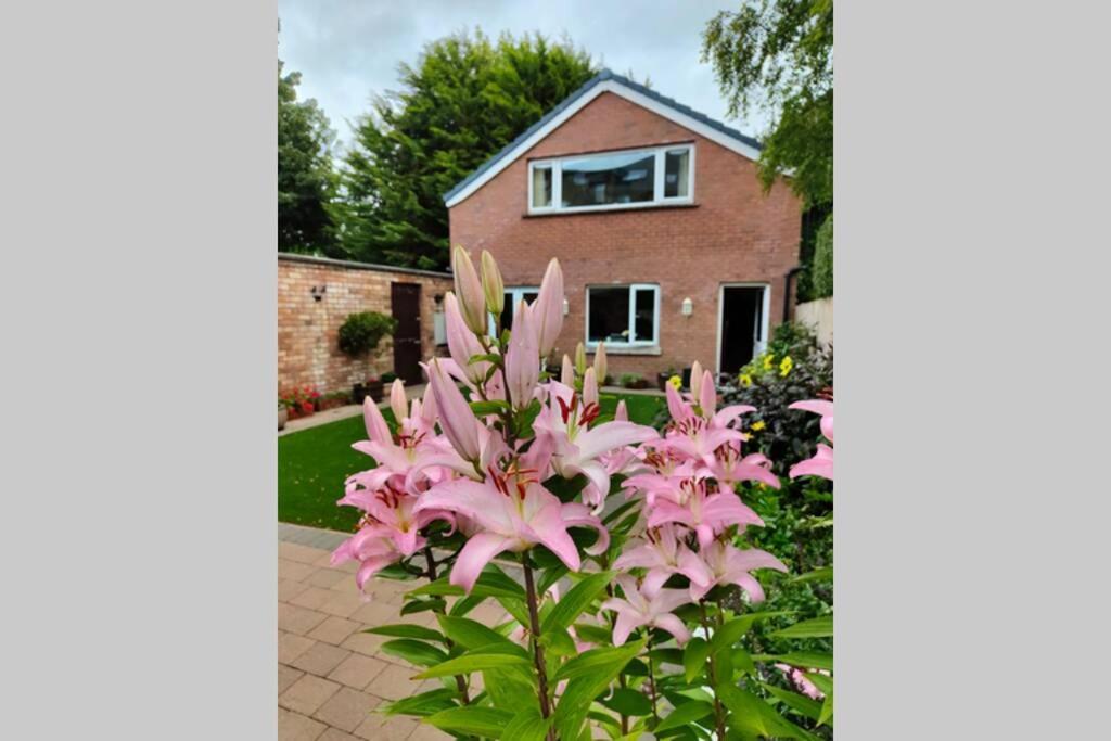 Bt 9 Granny Flat & Walled Garden Белфаст Екстериор снимка